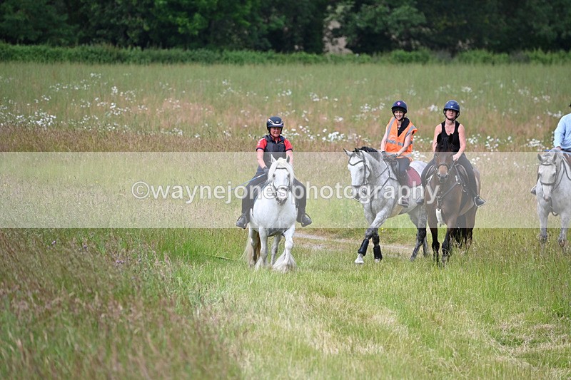 WJ6_8032 - Camera 1 Gallops