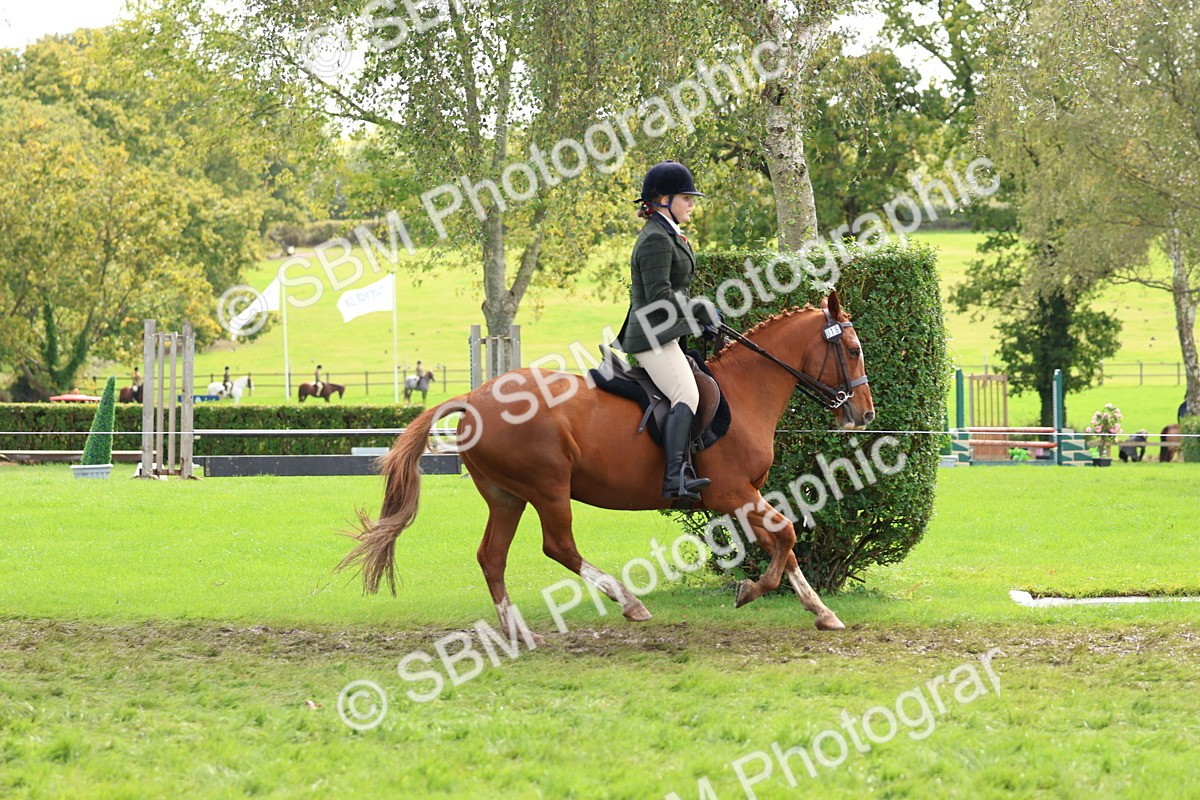 SBM_45233 - S27 - Young Veteran Ridden