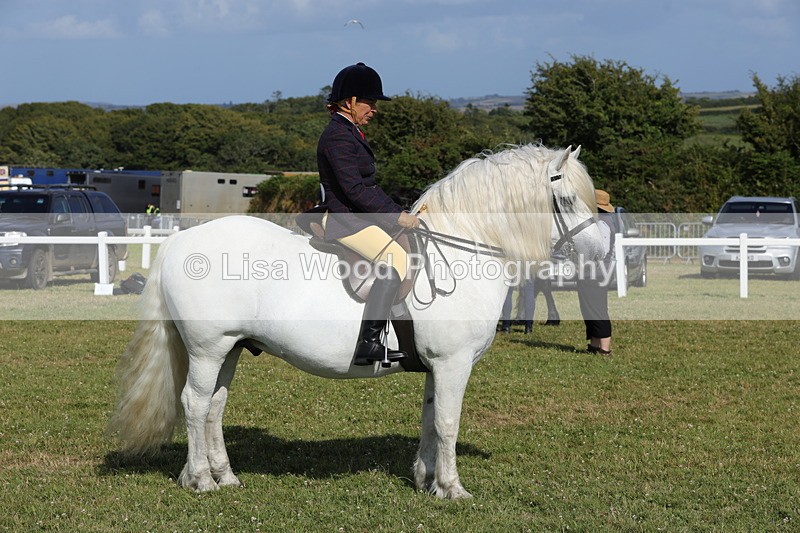 1X9A6005 - Class 42: NPS Dales, Fell, Highland