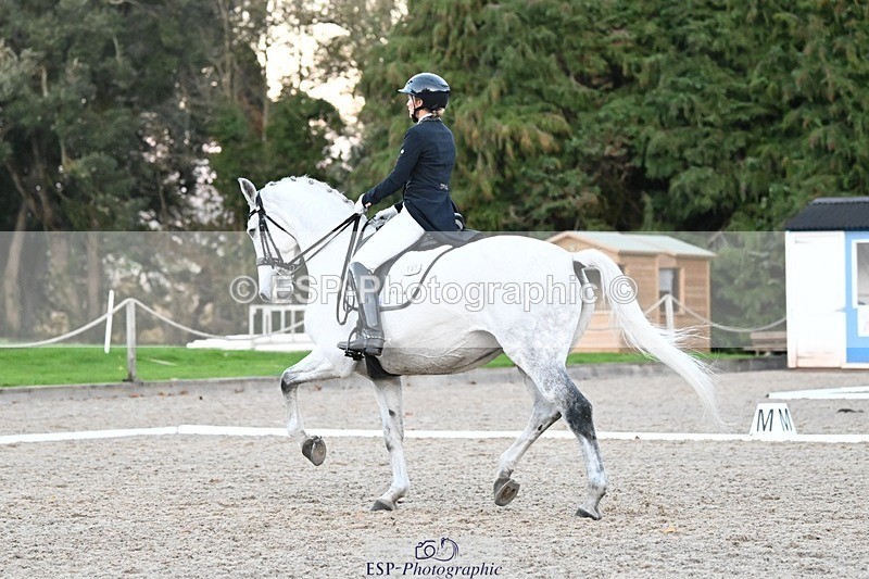 231110-162522-02601 - Cls 14 FEI Grand Prix