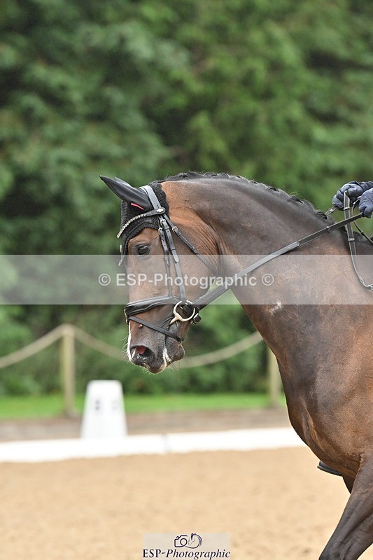 240811-094409-04594 - 147-Tegan.Ball-Woodcroft.Magic.Jewel