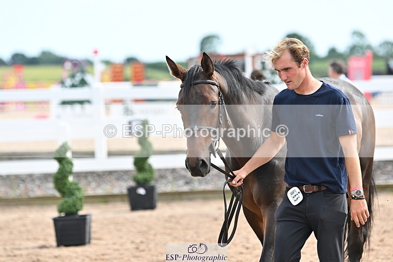 240717A-164528-03519 - Trot Up 4pm to 5pm