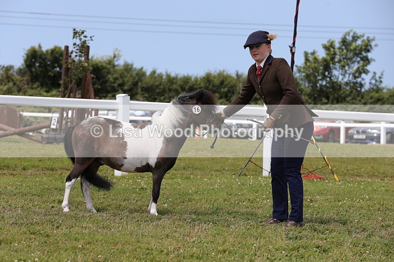 1X9A4785 - Class 35: Veteran In Hand