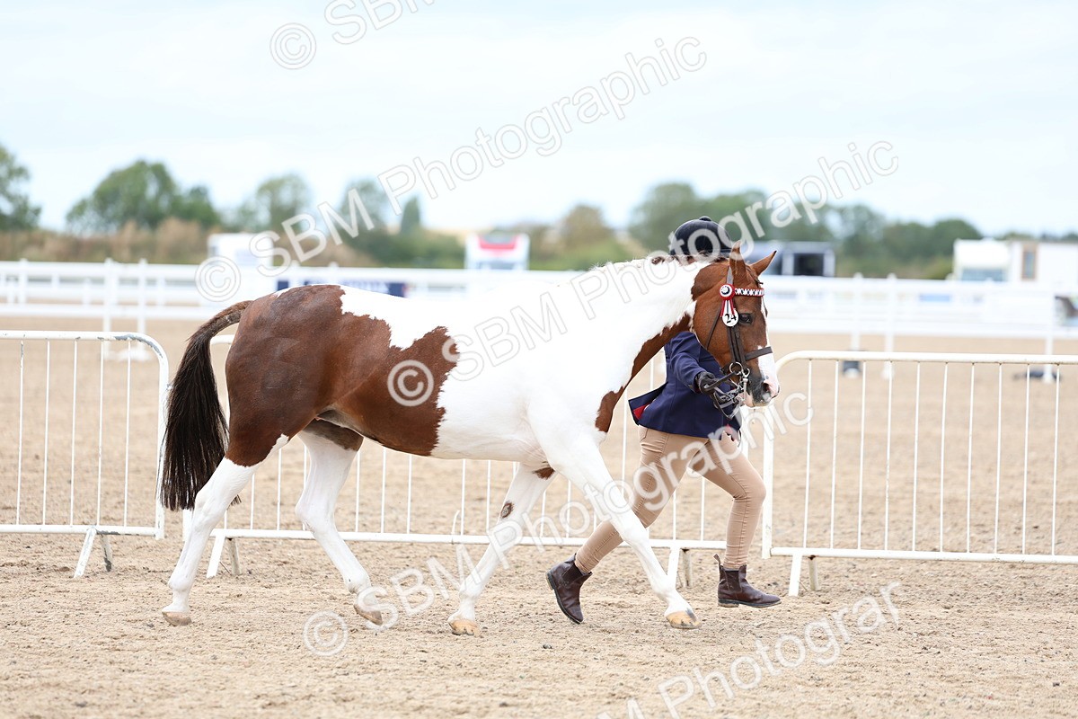 SBM_05993 - Class 29 - IH Veteran Pony
