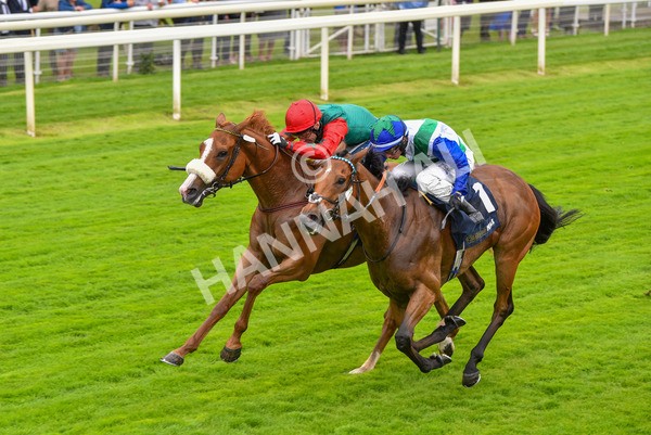140723-Race 1-Northern Express-8095 - Race 1 2.05pm William Hill Epic Value Handicap