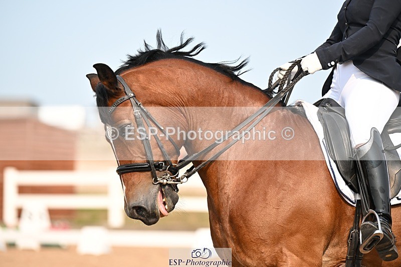 250816-154614-06256 - 030-Jane.HendyCefnbangor.Rob.Roy