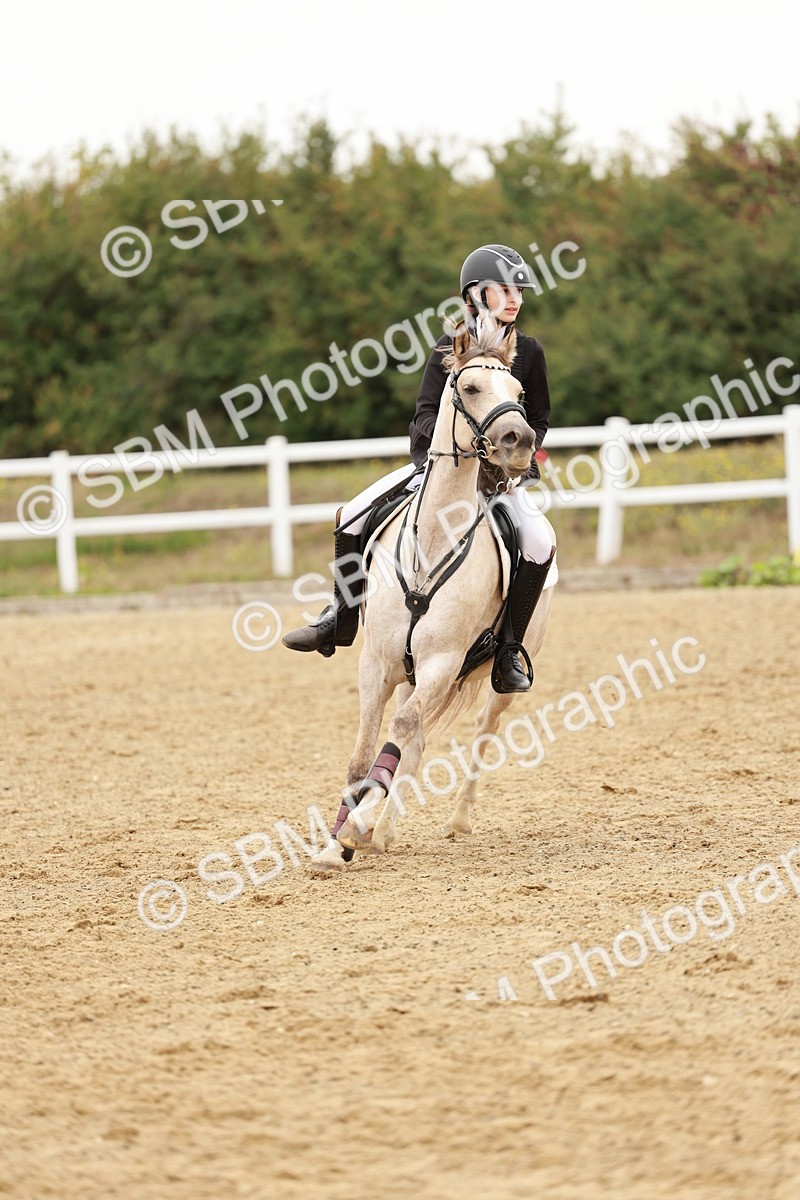 SBM_007668 - Class 3 - 60cm