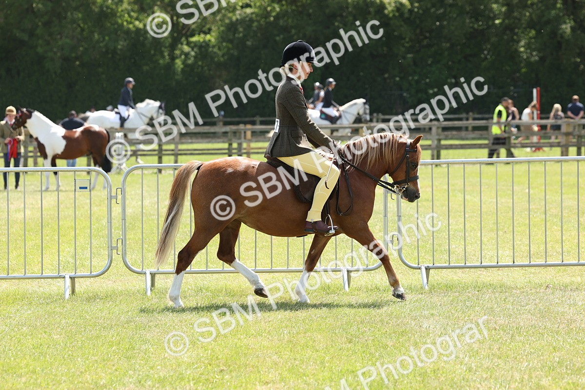 SBM_06721 - Class 26-30 - Mountain and Moorland Ridden
