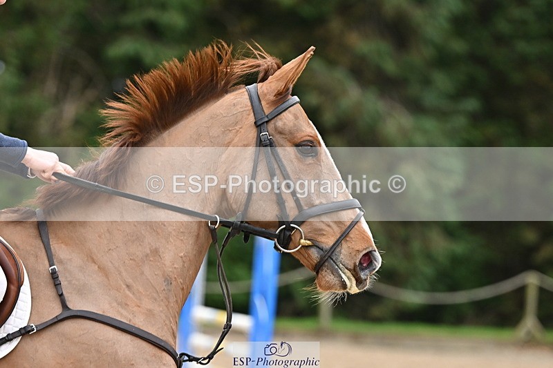 250201A-121534-00630 - Cls 02 Local Horse 100cm