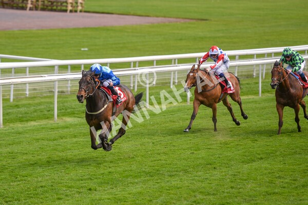  - Race 3 2.40pm The Matchbook Betting Podcast Hambleton Stakes