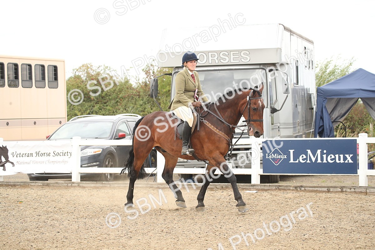 SBM_16858 - Class 507b - Working Veteran 60cm (20+)