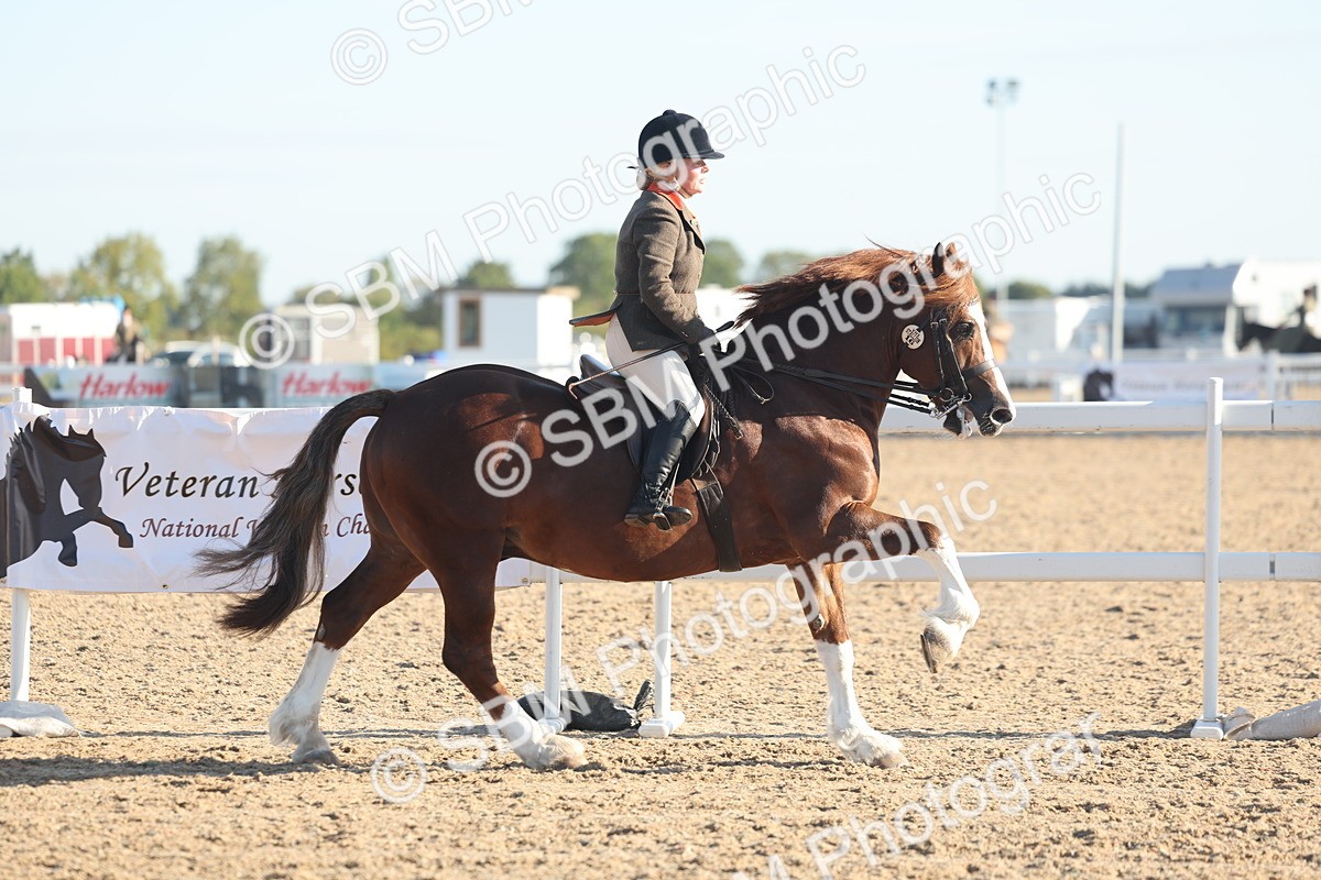 SBM_10987 - Class 302 - Ridden M&M Large Breeds