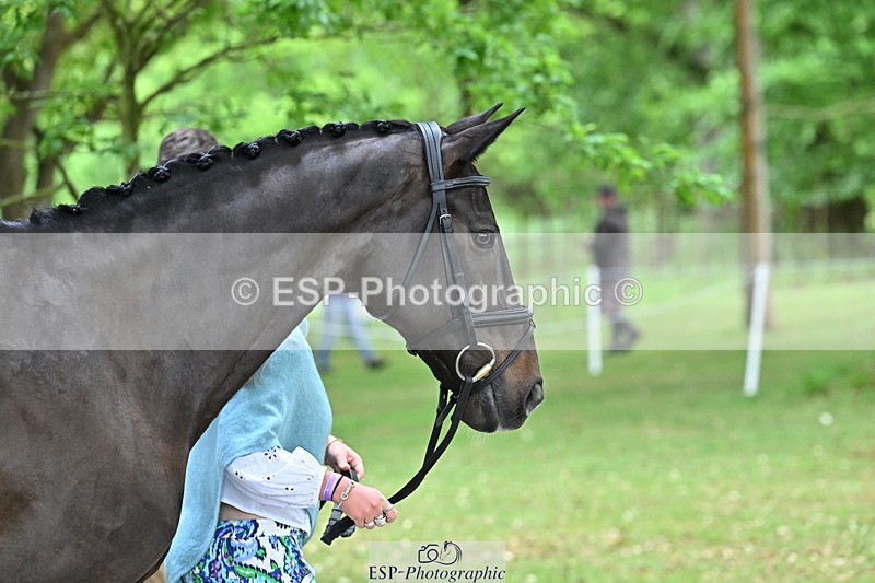 250521A-143953-00155 - A-015-Amelia.England-ELUNA