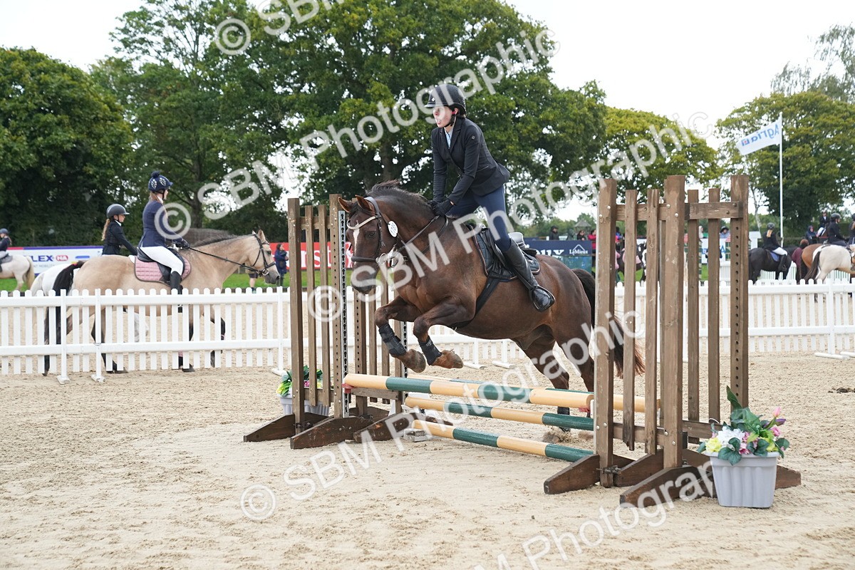 SBM_01477 - J54 - Clear Round 50cm