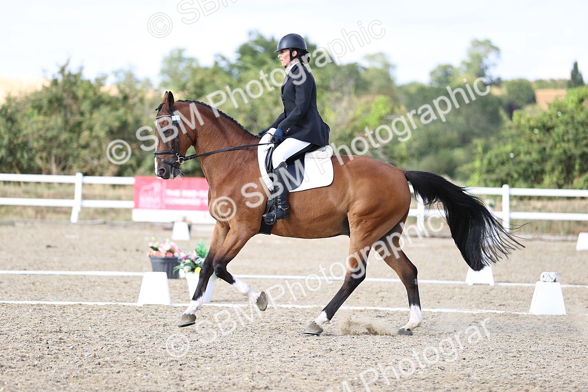 SBM_016083 - Class 5 - E5 Bronze  16.18.17.22