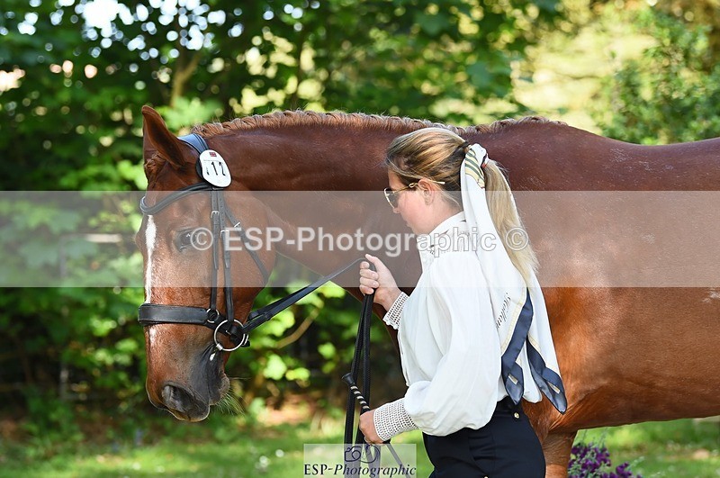 230524-164332-01054 - 112-BILLY_MAPLE-Kitty_King-WEDTrotUp+DR