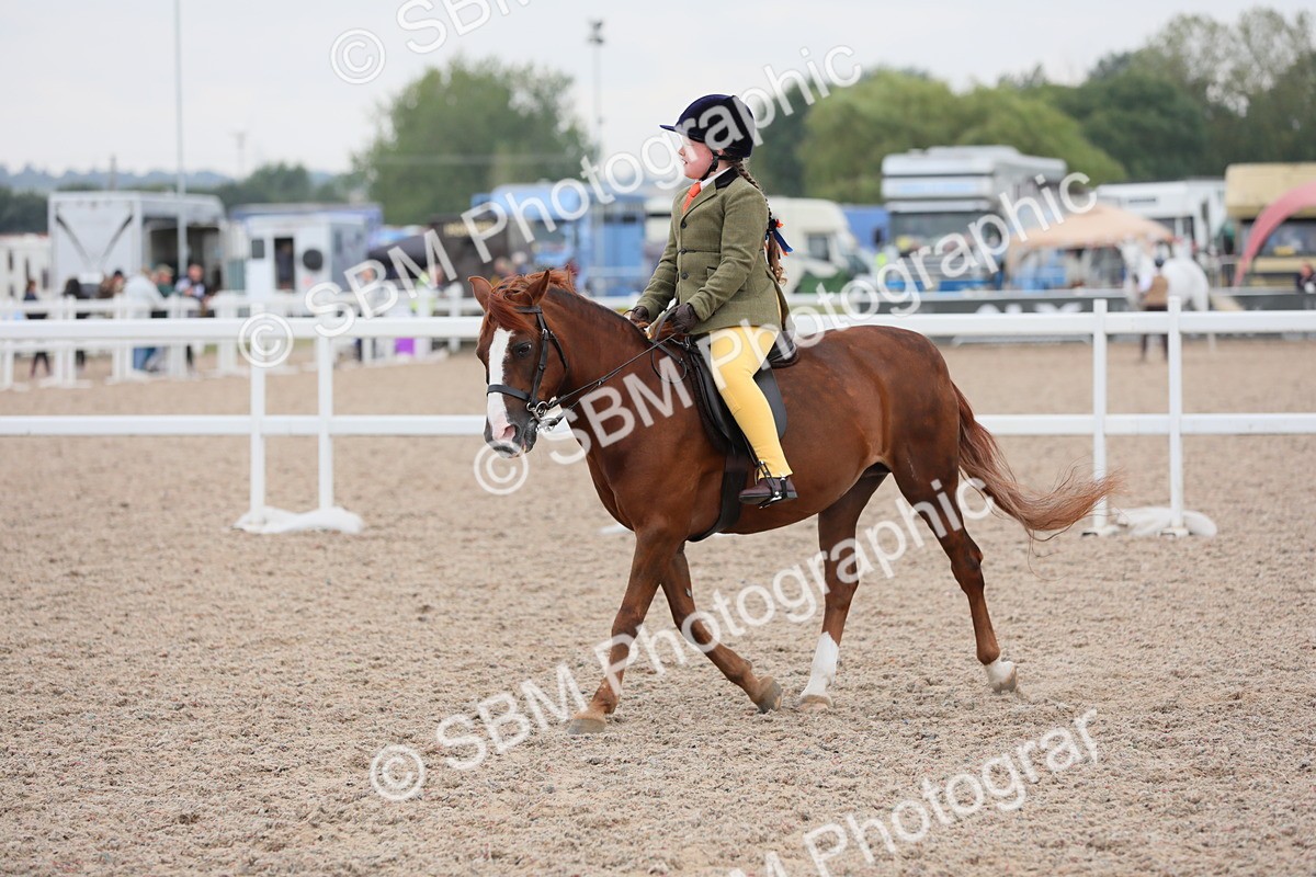 SBM_18165 - Class 316 Best Pony/Rider Combination