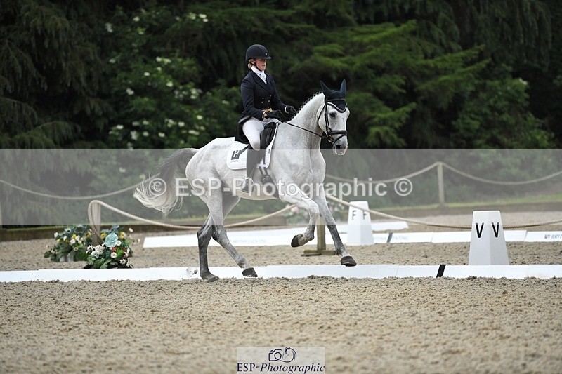 230525-114039-01877 - 102-BANDITO_VAN_POLDERZICHT-Grace_Taylor-WEDTrotUp+DR