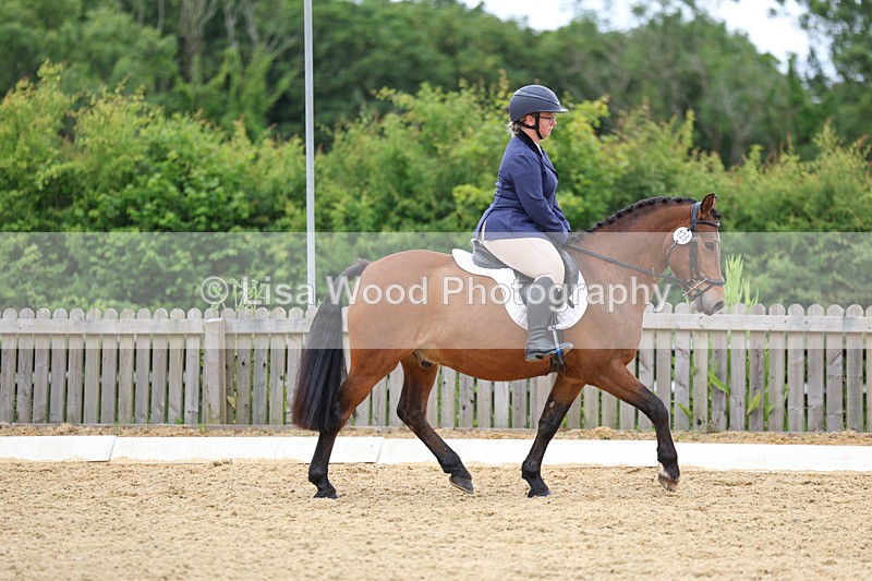 3E7A9526 - Class 2: Intro 1 2024 Section B