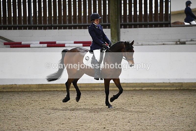 WJ5_8353 - Time 11:00 to 11:19