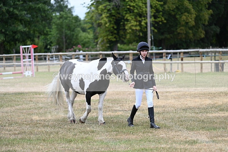 WJ7_1470 - Class 4 Prettiest Mare up to 14.2hh in hand