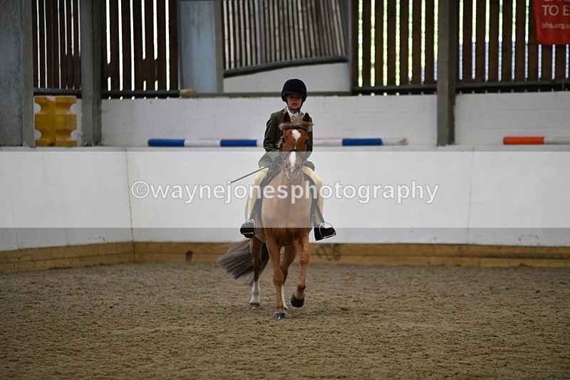 WJ5_6236 - Class 9 Ridden Veteran