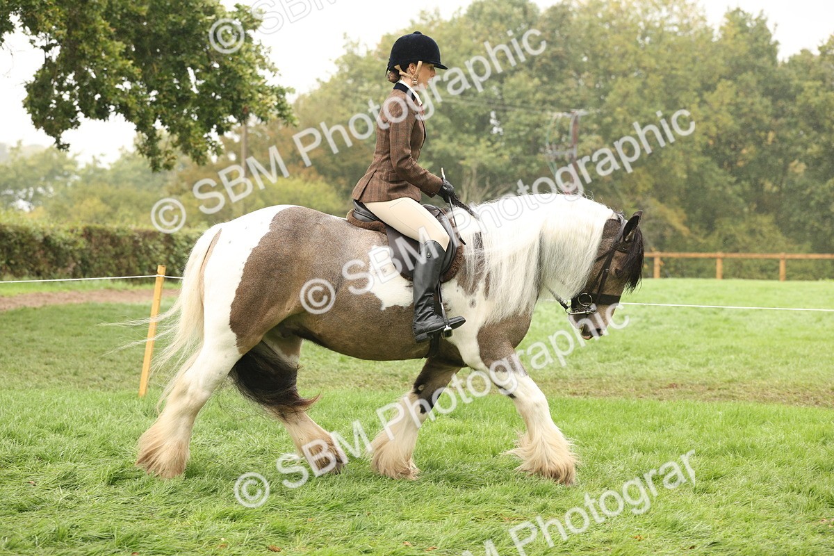 SBM_72689 - S70 - Traditional Cob Ridden