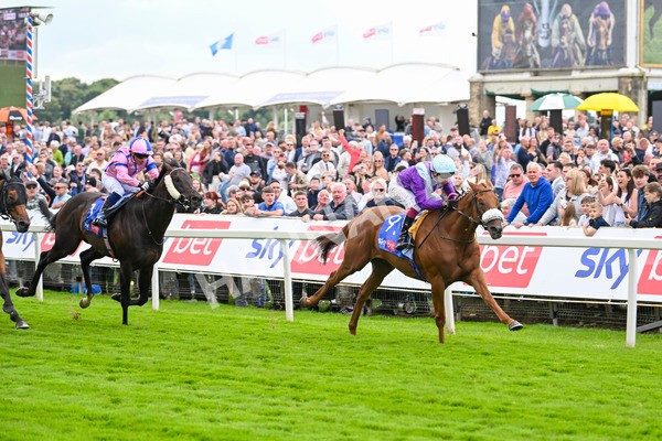 240824-Race 1-See The Fire-0993 - Race 1 1.50pm Sky Bet Strensall Stakes