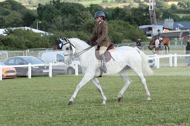 JPP_3702 - Class 24: Open Working Hunter