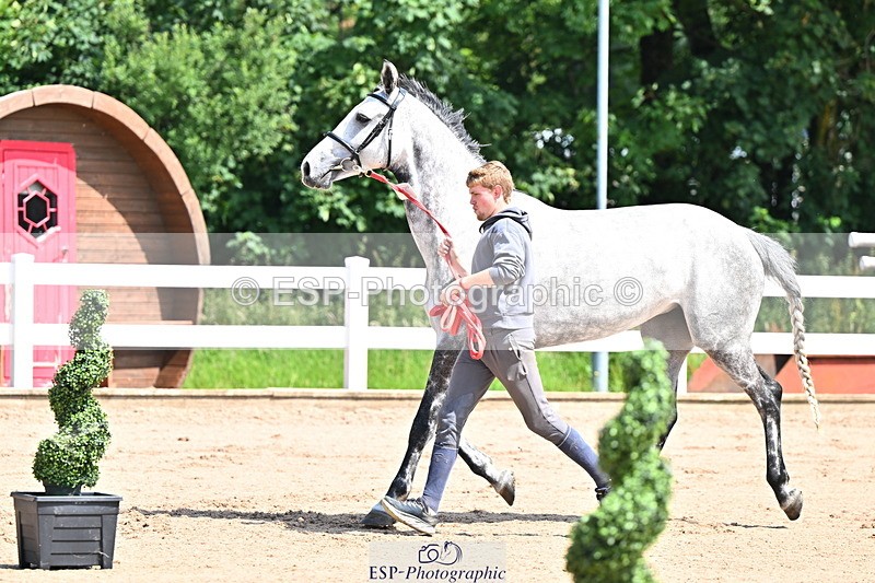 240718A-105238-00958 - Trot Up 11am to 12pm