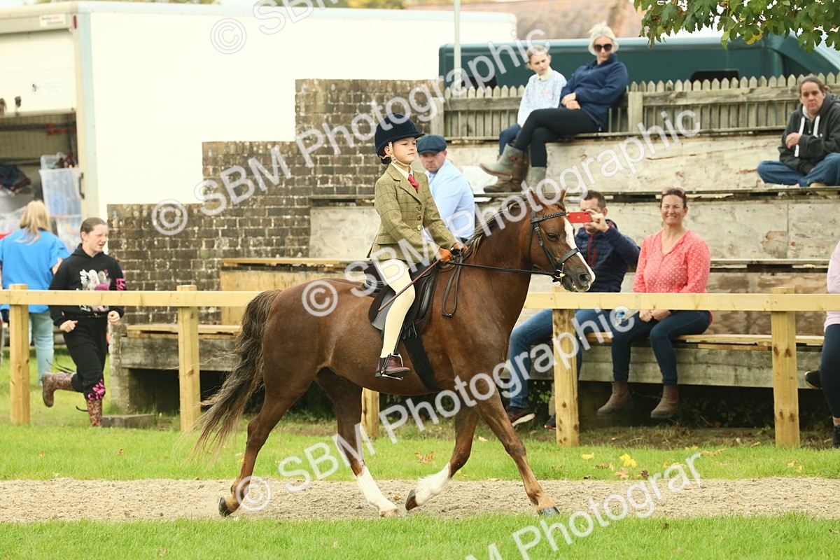 SBM_69896 - S59 - Mountain & Moorland Ridden Small Breeds