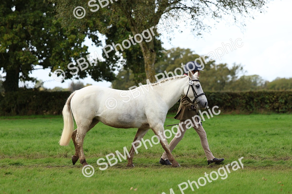 SBM_40703 - S25 -  Veteran In Hand