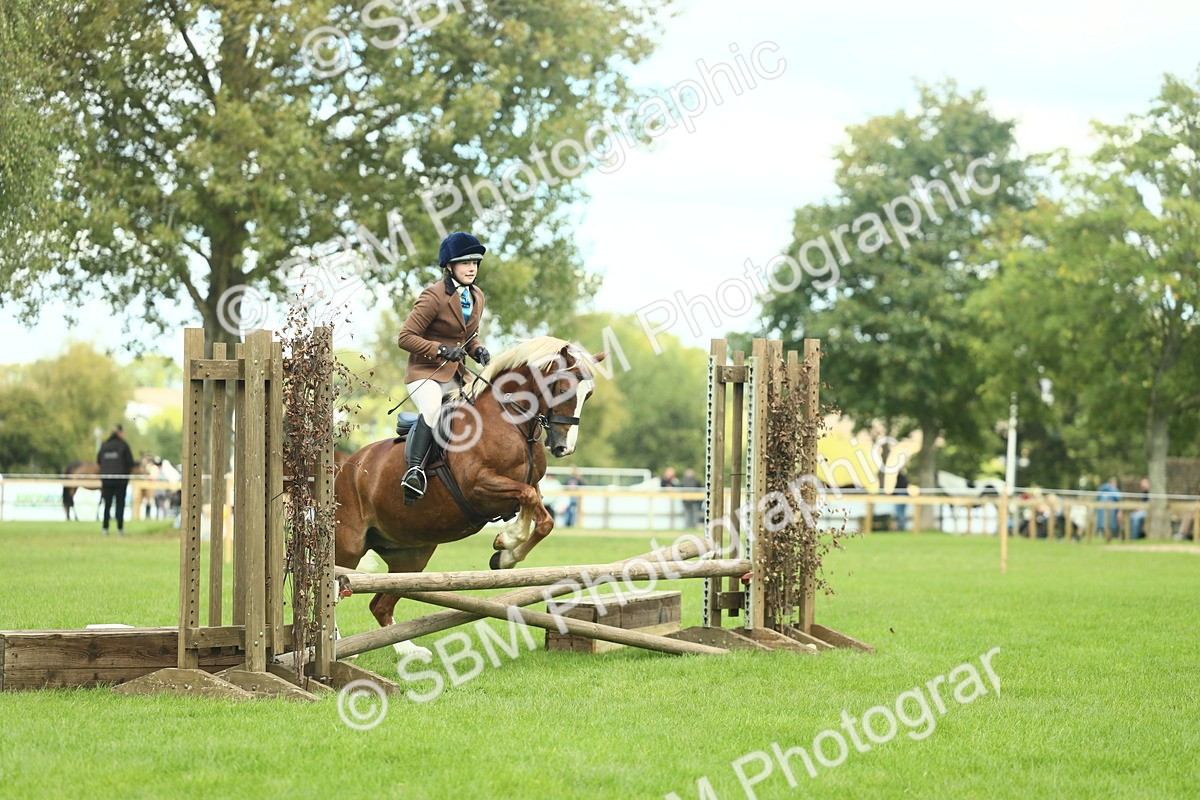 SBM_42816 - S30 - M&M Working hunter Pony