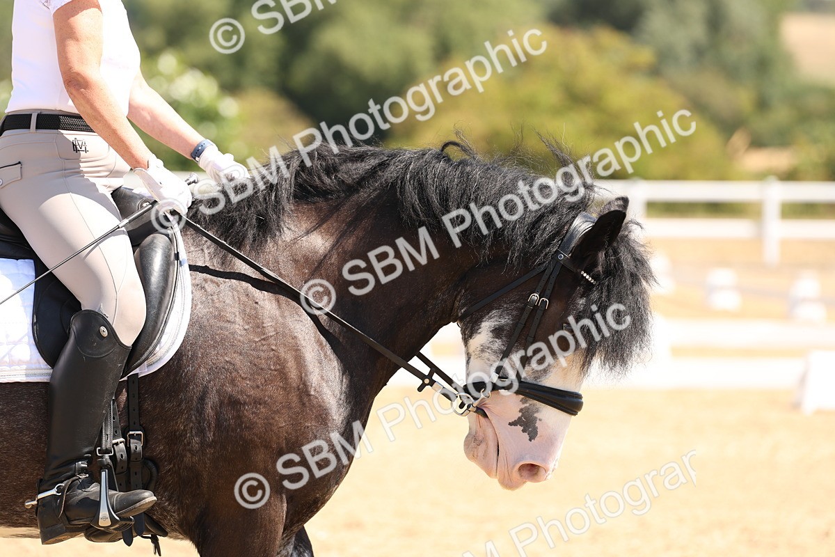 SBM_001199 - Intro 2
