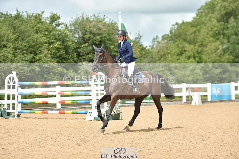 230723A-130512-11995 - Cls 24, 1 Star Gold 1.30m