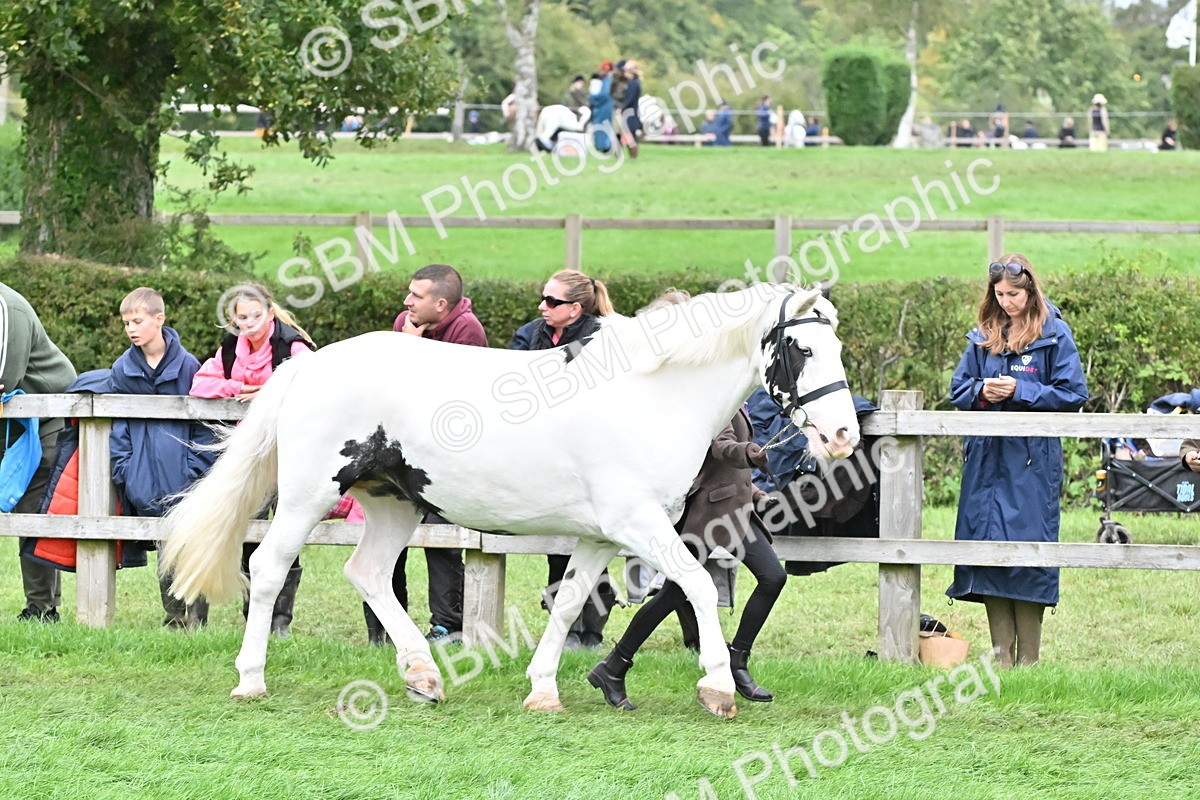 SBM_68547 - S42 - Junior Handler 9-12 Years