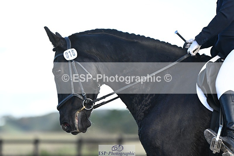 231105-144218-02456 - Cls 5 Novice 27 Start to 15.30 break