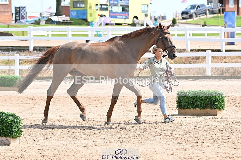 240717A-151128-02628 - Trot Up 3pm to 4pm