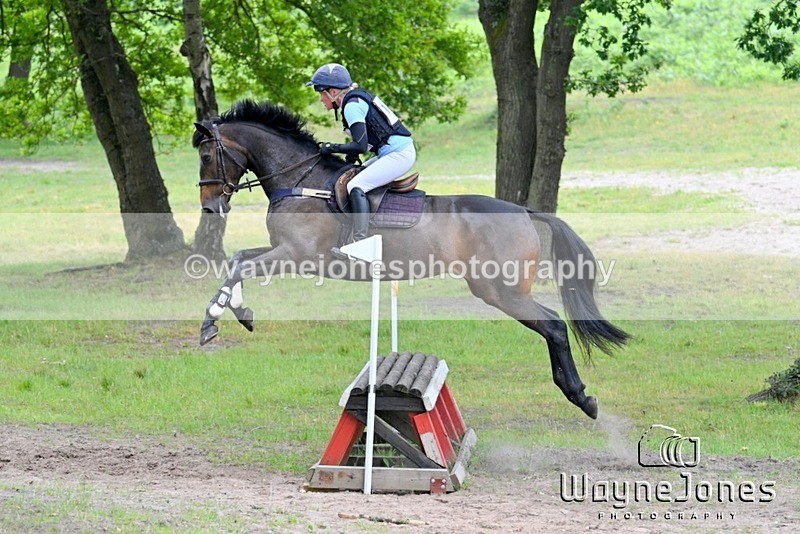 WJ7_8931 - Edited examples.