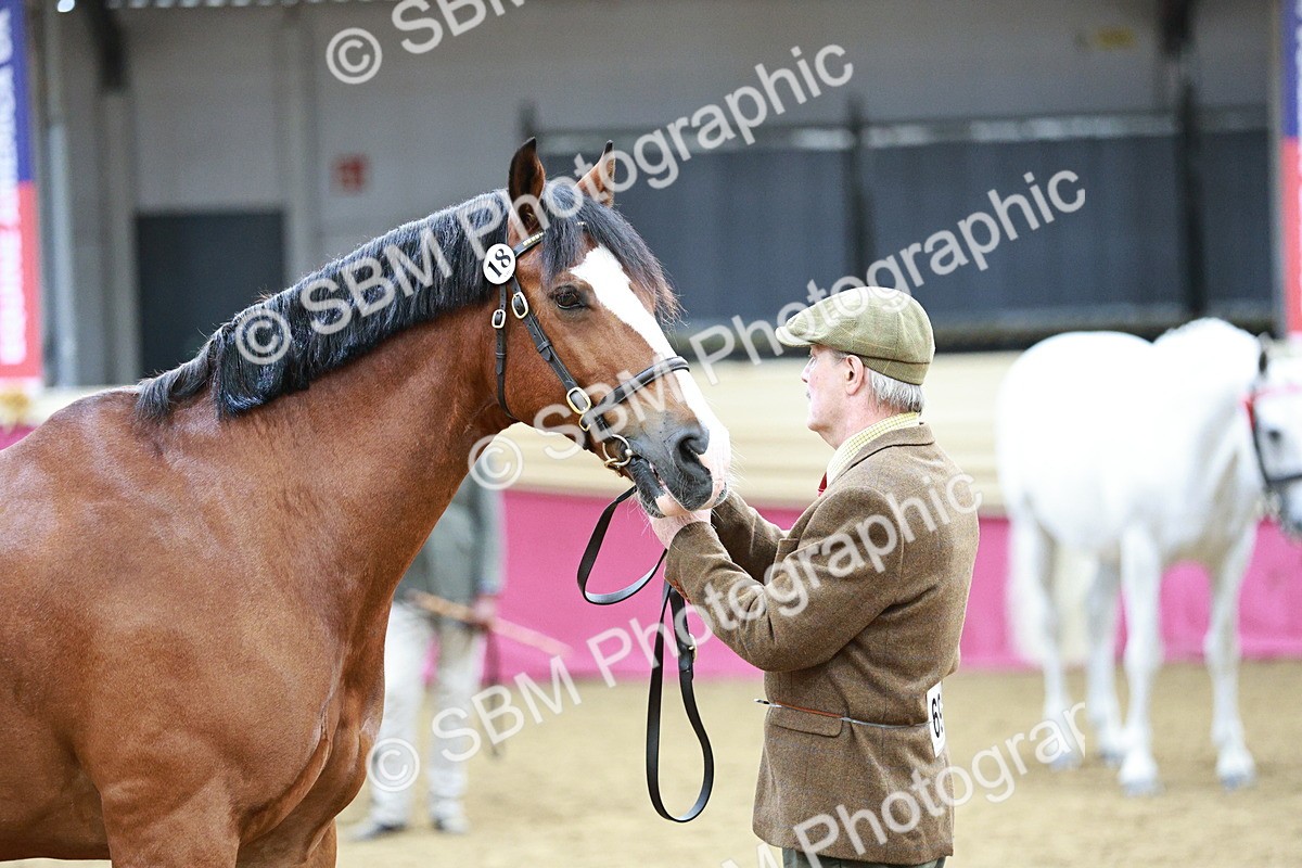 SBM_01222 - Class 3A - Area IH Pre-Vet