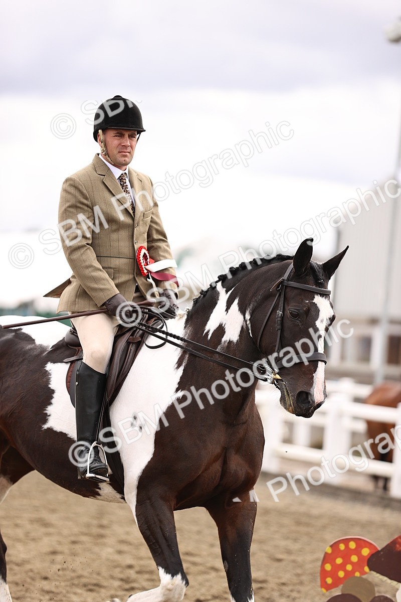 SBM_01465 - Class 54 - Riding Club Horse Pony