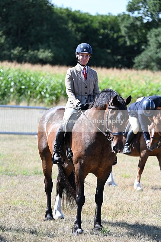 WJ7_3634 - Class 9 Mountain & Moorland Ridden