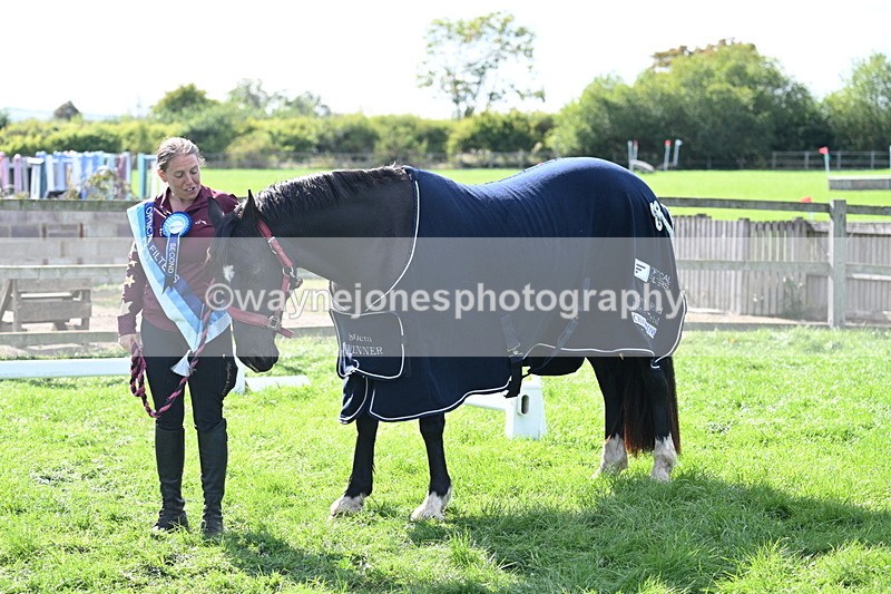 WJ7_1714 - 80cm Champs