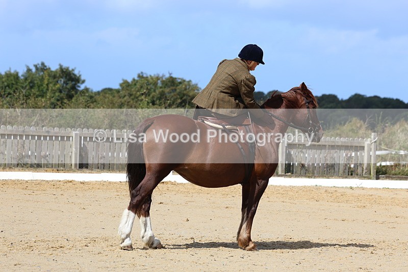 3E7A3610 - Class 7:  Preliminary Music