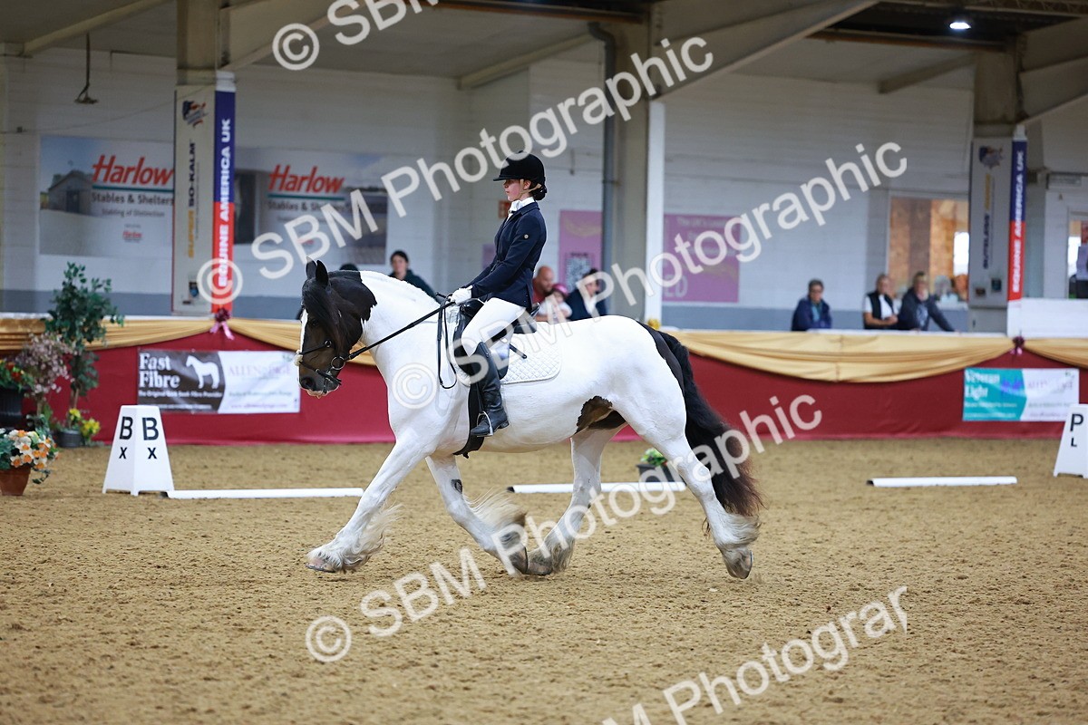 SBM_06620 - Class 61 - Dressage to Music