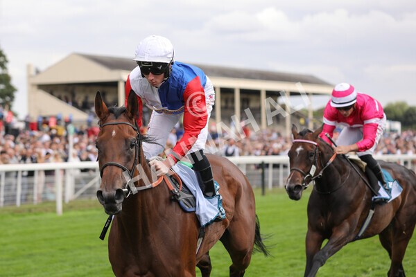 yr19082022r5-27 - Race 5 4.10pm Assured Data Protection EBF Fillies' Stakes