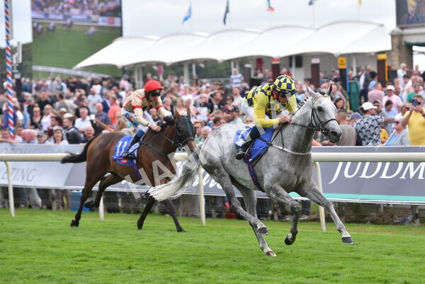 yr17082022r5-48 - Race 5 4.10pm Sky Bet Stayers Stakes