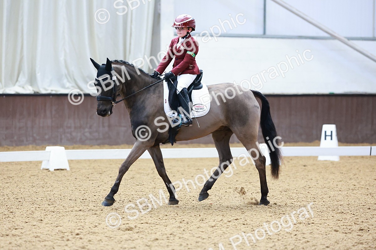 0B8A3884 - Class 3-6-9 - Prel Nov Ele - FSM