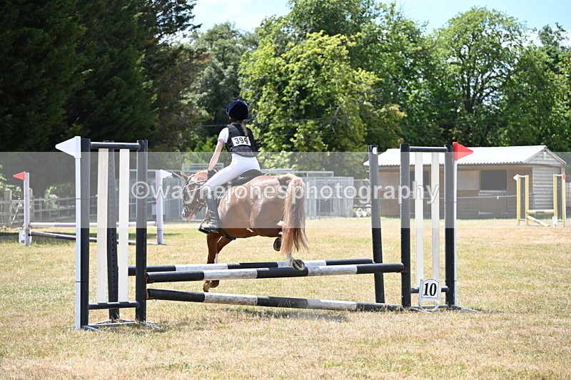 WJ6_5759 - Class 13 Novice 60cm