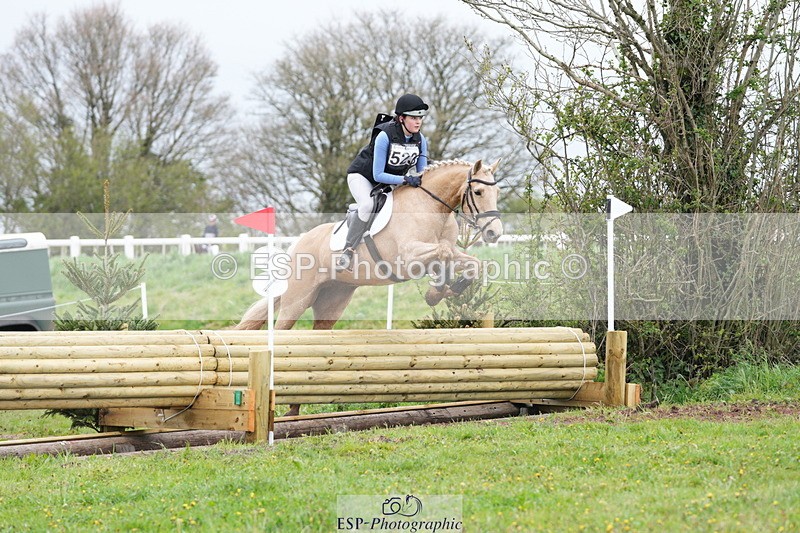 250419-130038-10029 - 523-Kate.Hicks-SWALLOWCROFT.STARDUST